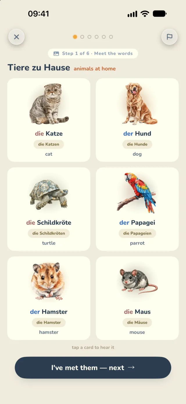 Meet the words: six pictures with their articles